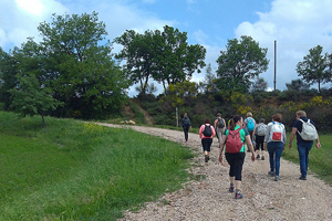 Farm hike